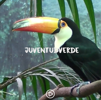 Addair Miranda Playground video Polivalente studio