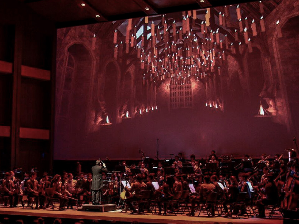 Proyección Harry Potter Conjunto de Artes Escenicas Polivalente Studio