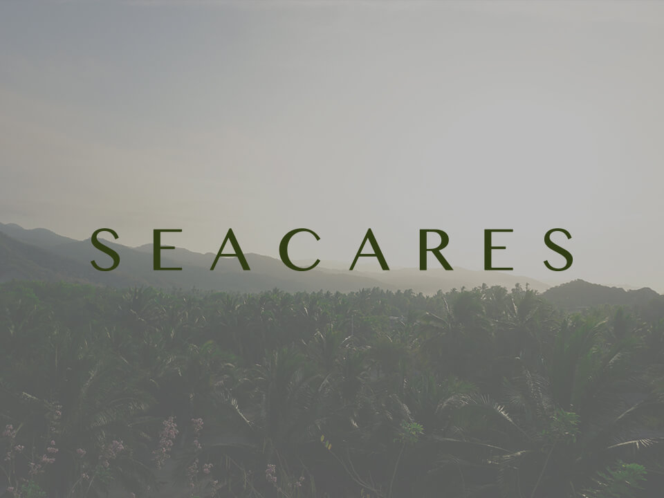 Seacares Polivalente web Multimedia